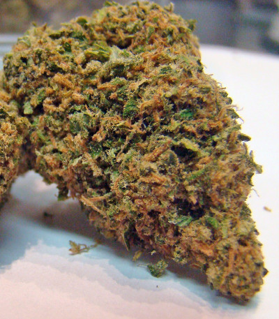 Сорт Lemon Skunk fem (Green House Seeds)