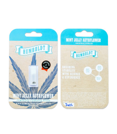 Сорт Mint Jelly Auto fem от Humboldt Seed Company