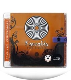 Classic Auto Mix (Automatico Mix) fem (Kannabia Seeds)