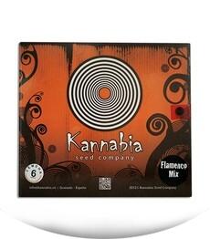 Flamenco Mix fem (Kannabia Seeds)