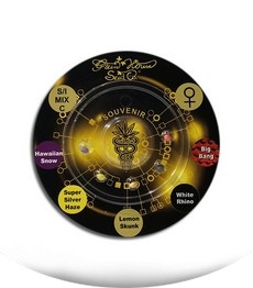 Sativa/Indica mix С fem (GHS)