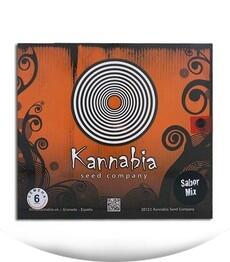 Sabor Mix fem (Kannabia Seeds)