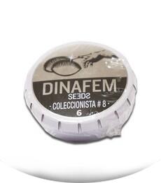 Pack Coleccionista №8 fem (Dinafem Seeds)