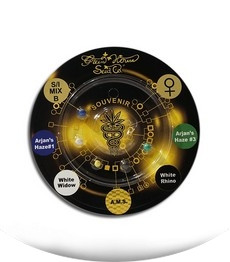 Sativa/Indica mix B fem (GHS)