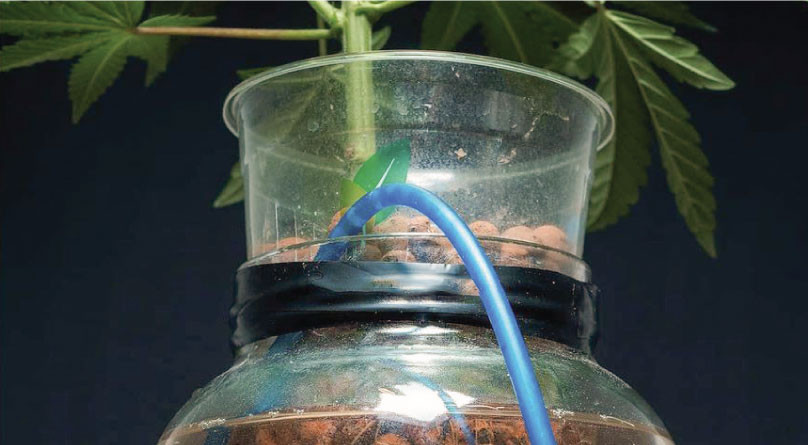 Раствор для гидропоники